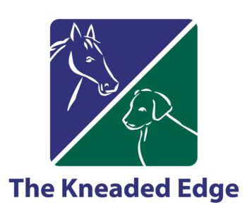 the-kneaded-edge